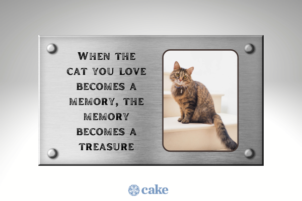 Memorial sayings for a cat